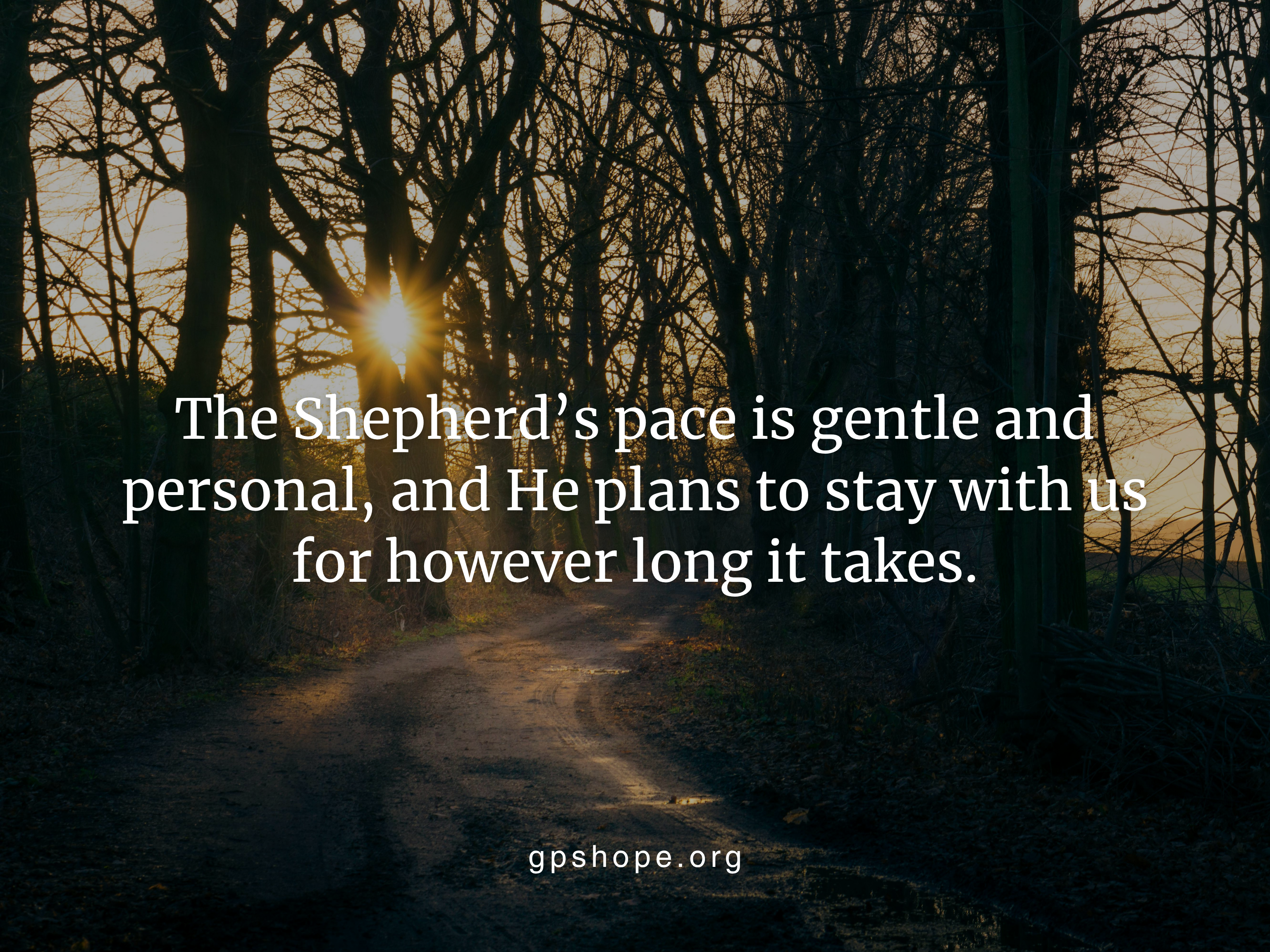 Faith-based grief quote about God’s gentle, personal guidance during healing “The Shepherd’s pace is gentle and personal…”