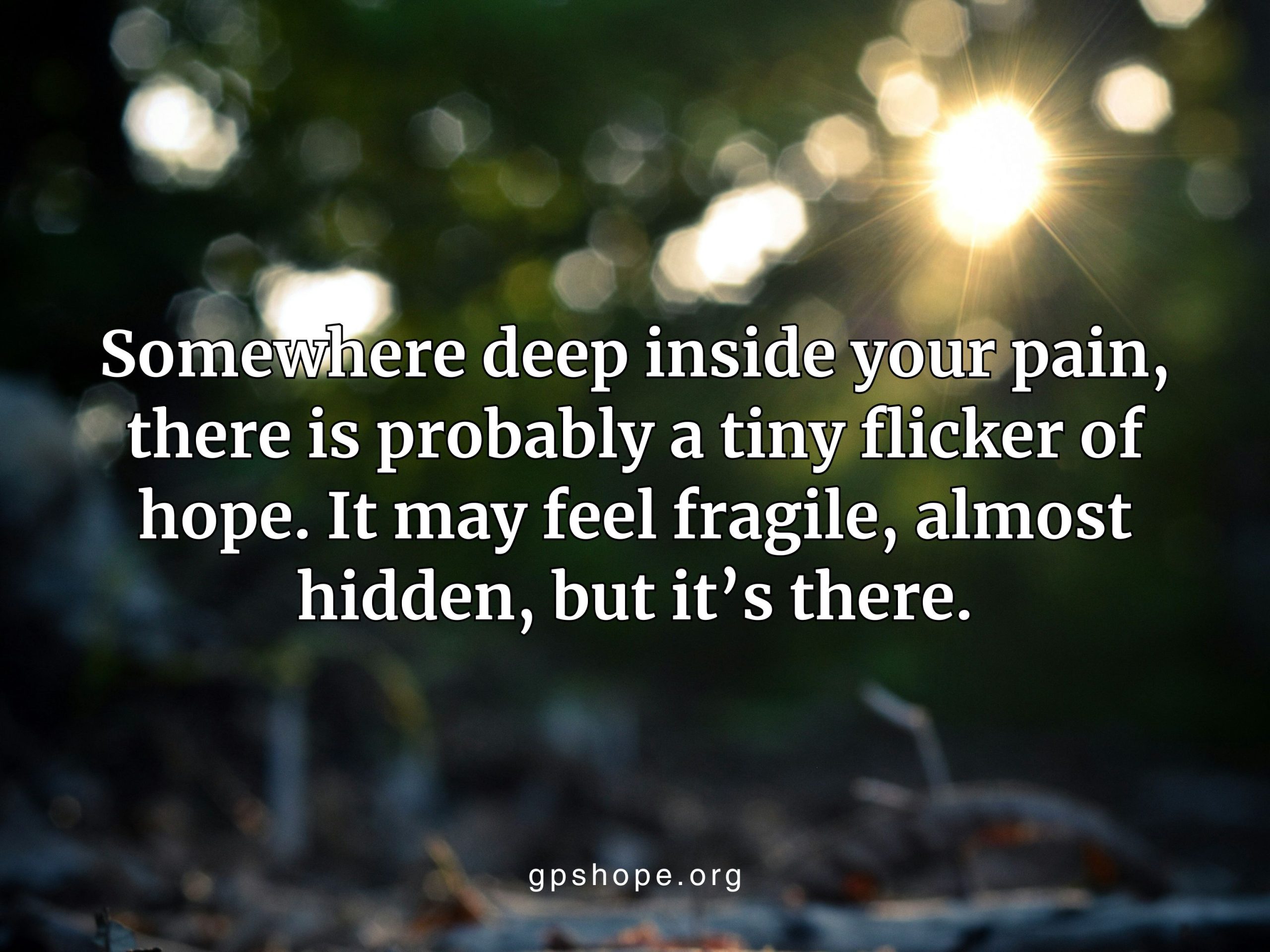 Sunlight shining through trees onto a forest floor with an inspirational quote overlay.