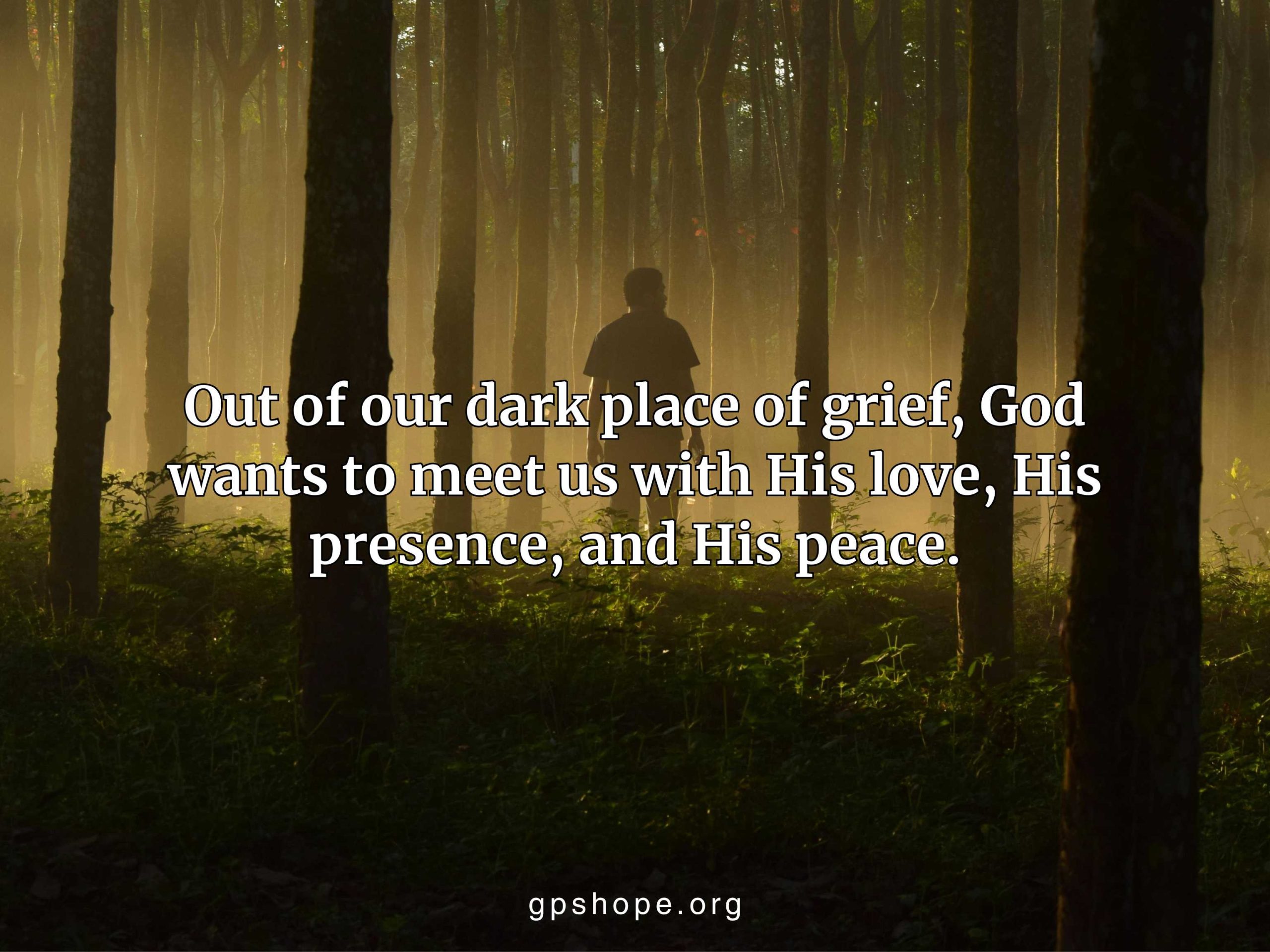 Father’s Story of Losing a Child — finding God in the darkness, as a grieving silhouette stands in a foggy forest with light breaking through, guided by GPS Hope.