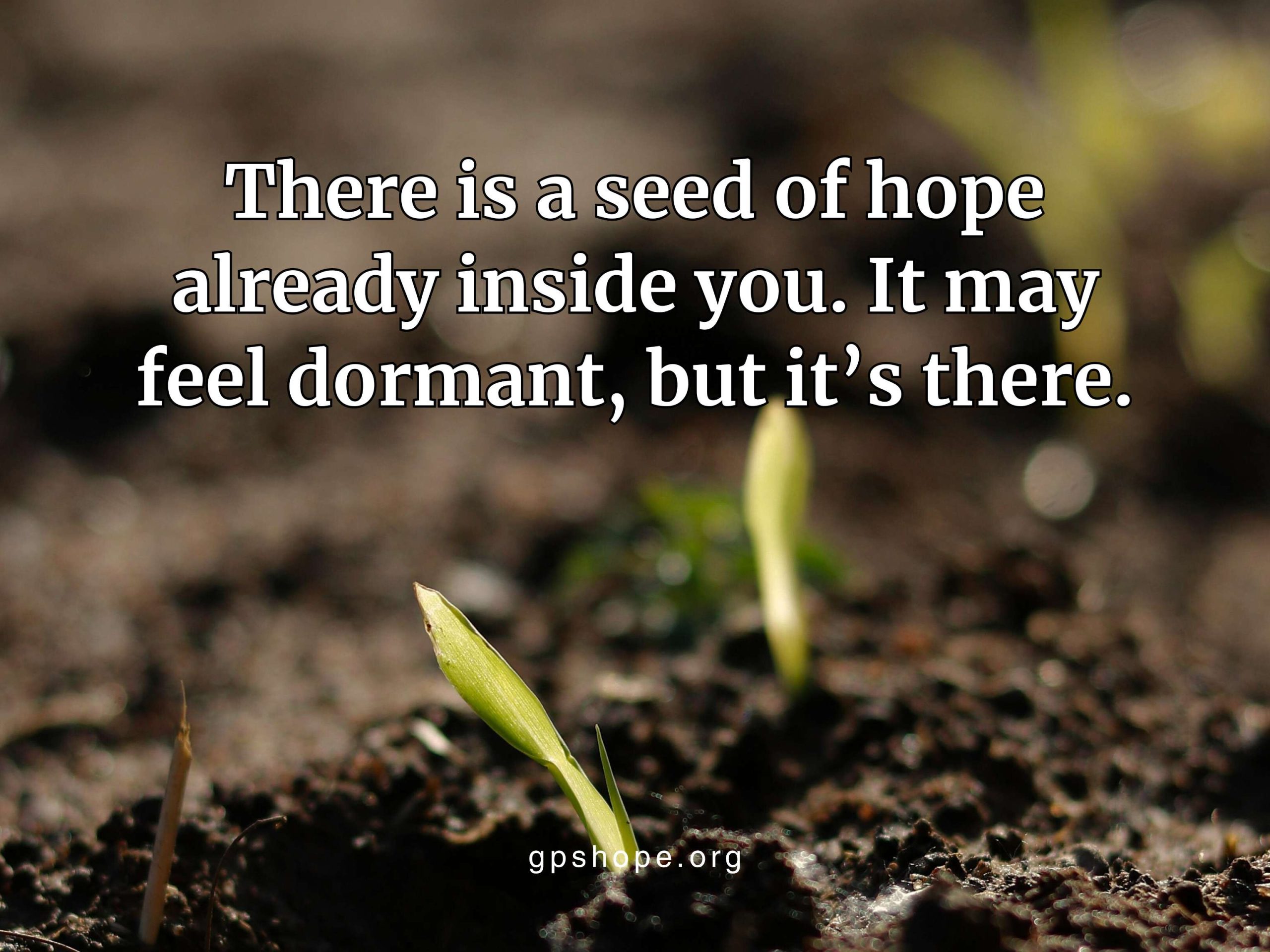 A close-up of dark, rich soil with two small, bright green sprouts pushing up through the dirt, symbolizing new growth. Overlaying the image is a quote in white text: "There is a seed of hope already inside you. It may feel dormant, but it’s there." The GPS HOPE brand and website "gpshope.org" are at the bottom center. We Heal Better Together: Watering the Seeds of Hope.