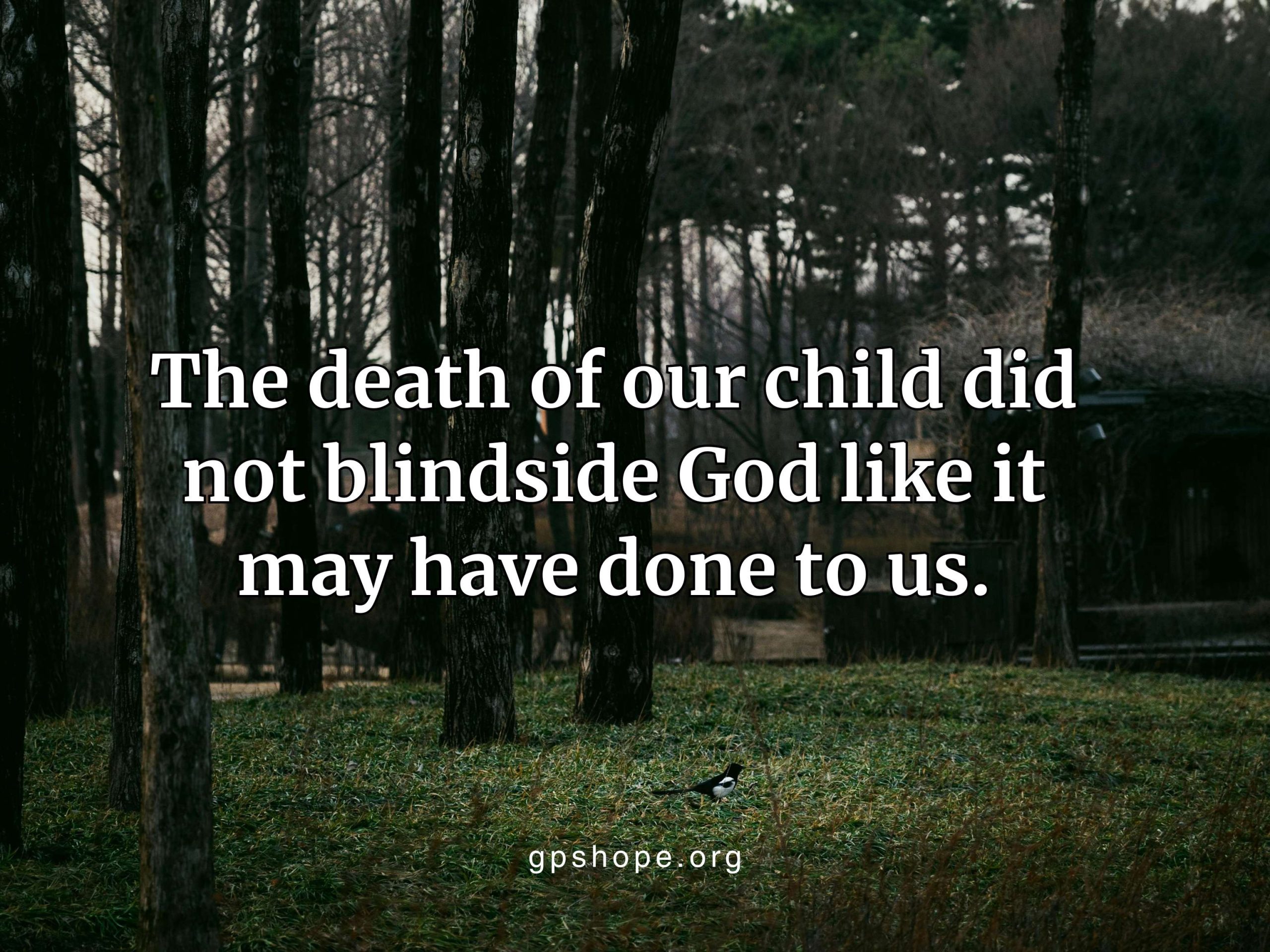 A dark, moody forest with tall, slender tree trunks and a ground of deep green and brown foliage. A small bird is near the bottom center. Overlaying the image is a quote in white text: "The death of our child did not blindside God like it may have done to us." The GPS HOPE brand and website "gpshope.org" are at the bottom center. We Heal Better Together: Watering the Seeds of Hope.